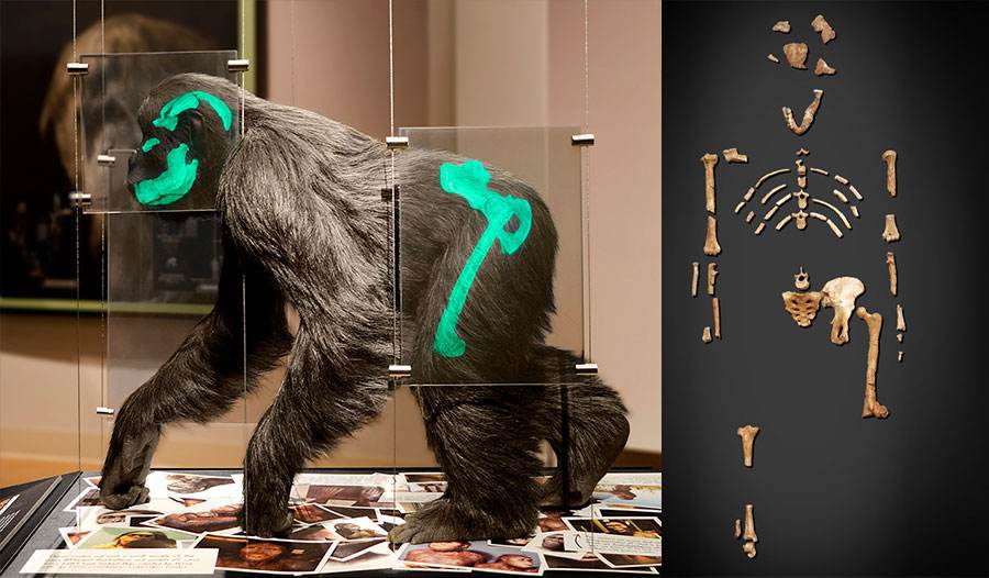 澶忓▋鍋囪鍒嗗竷鍖哄煙,澶忓▋鍋囪