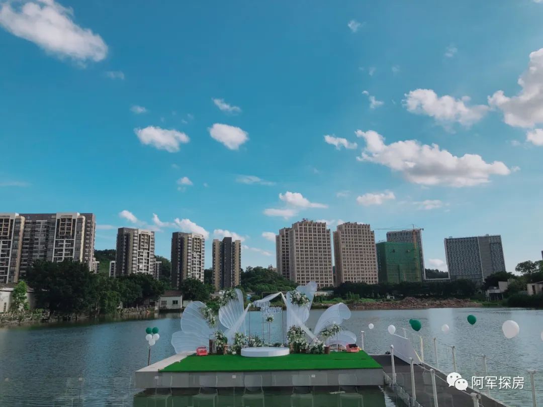 金沙洲低总价新楼盘,金沙洲力迅榕叠墅