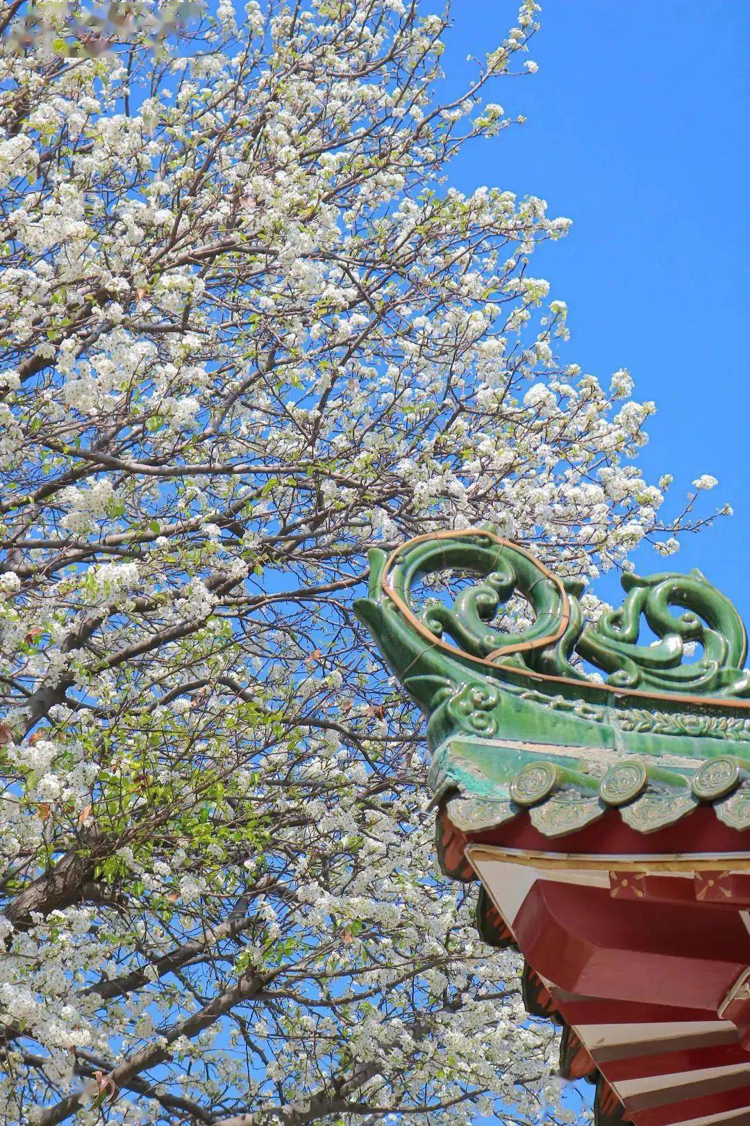 汕头北回归线游玩攻略,汕头北回归线景点打卡位置