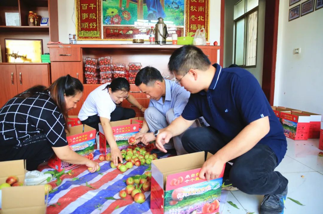 中国电商助农消费扶贫,中国电商精准扶贫助农项目