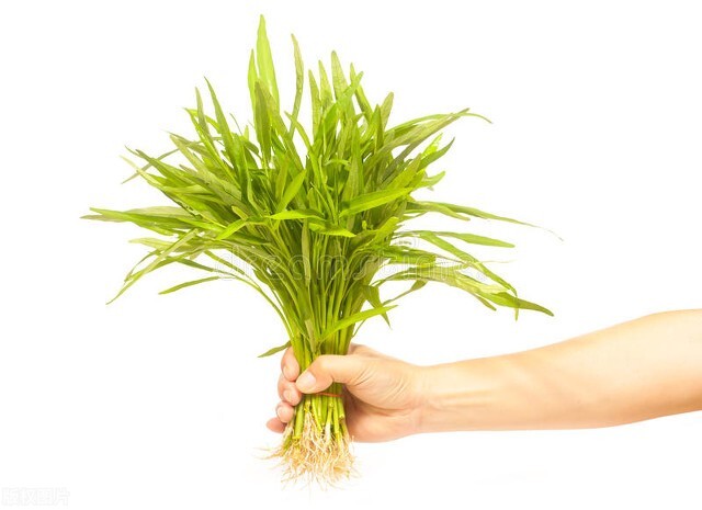 公认七大“刮油”食物，天然健康，看看有没有你熟知的食物