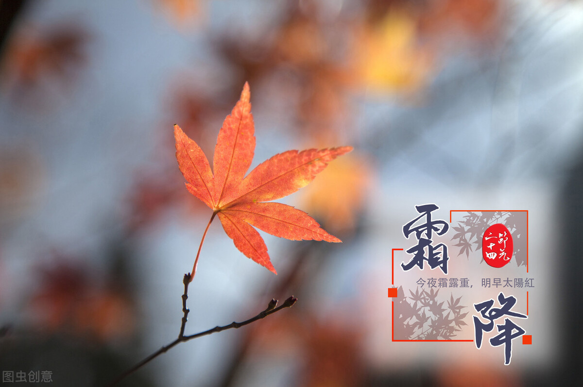 有关寒霜降的宋词,有关霜降的七绝诗