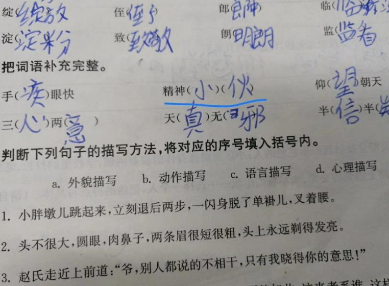 小学生零分试卷网友看了笑喷,一次大胆的尝试500字六年级