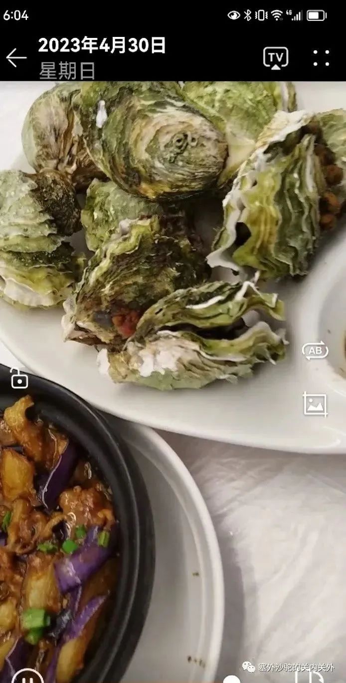 打卡南澳岛东方夏威夷,夏威夷南澳岛一日游