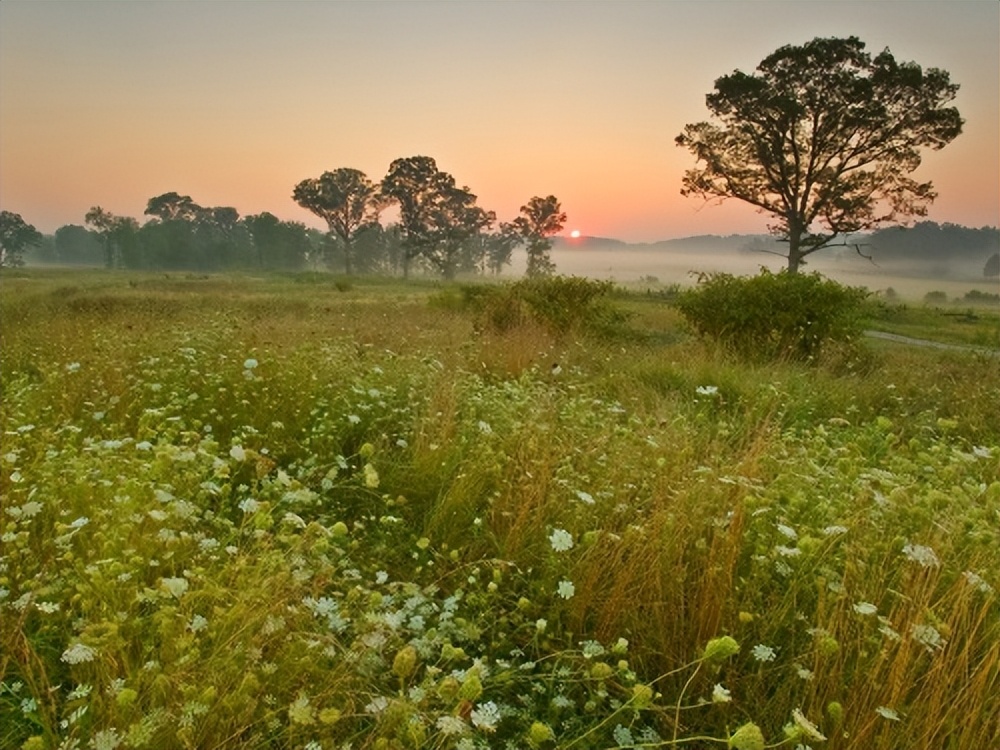 俄罗斯人为何频繁到中国
