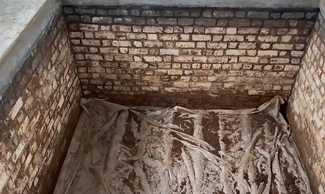 没有芝麻粒代表什么,芝麻为什么没有芝麻香味