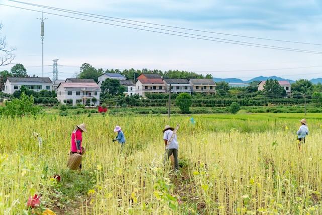 我家房子要拆迁了怎么办,我家房子拆迁