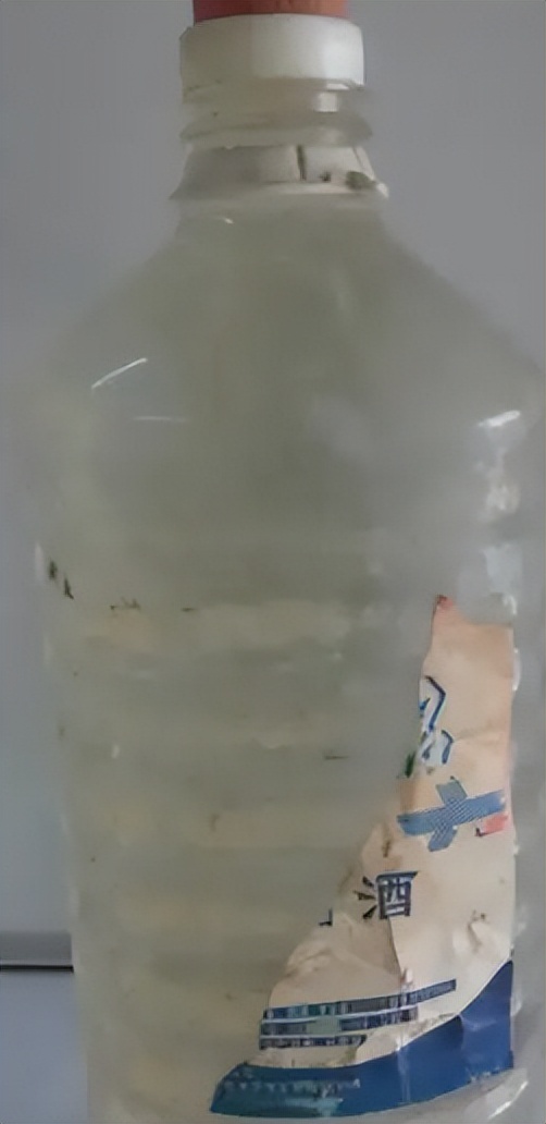 小伙子养猪年收入2000万,农村人靠养猪发家致富