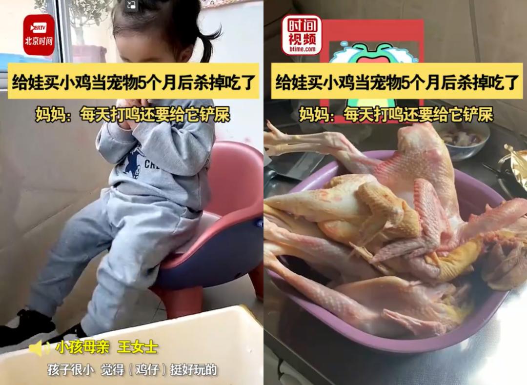 把孩子宠物煮熟来吃,还拍短视频博眼球?这种流量密码不要也罢