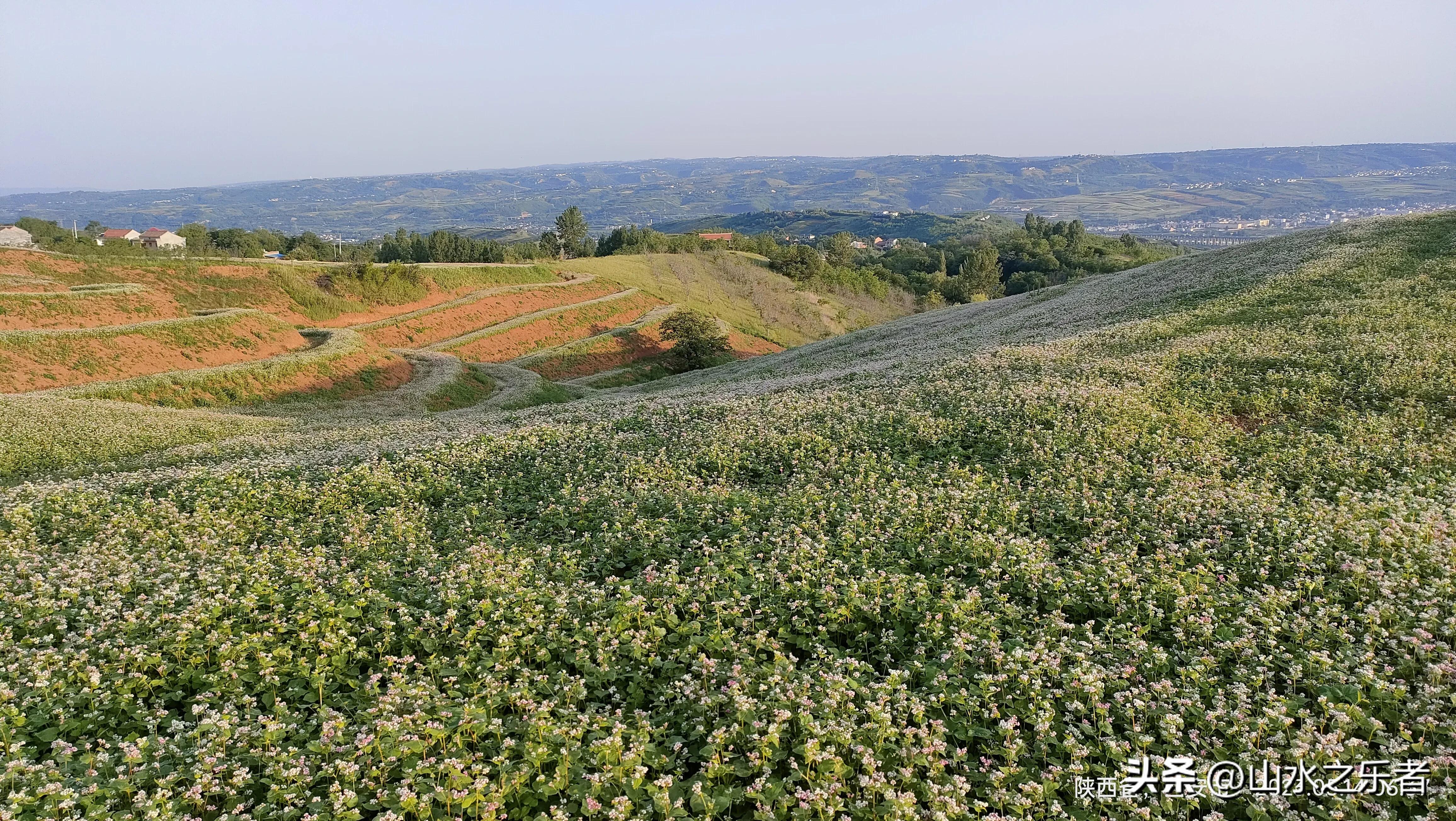 晨游秦岭北麓,蓝田荞麦岭怎么去