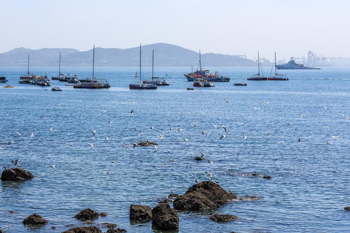 青岛两天一晚旅游攻略自由行,冬季青岛三日自由行攻略