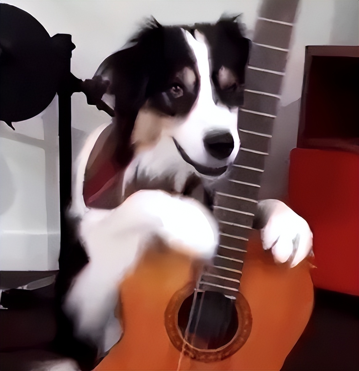 怎么教边牧用各种按钮说话,开拖拉机技术讲解