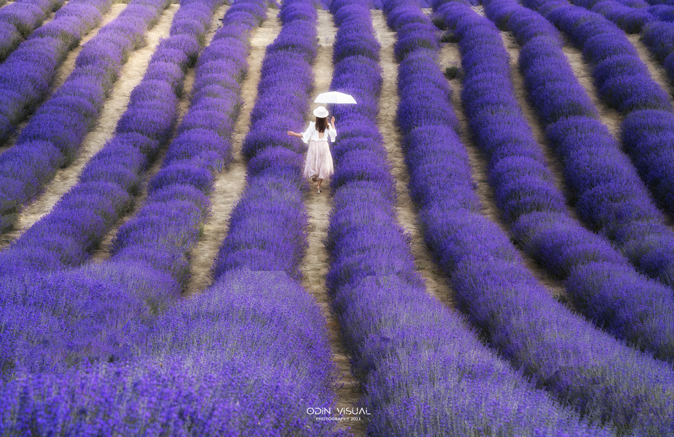 去新疆发现伊犁的美,世界之美尽在伊犁