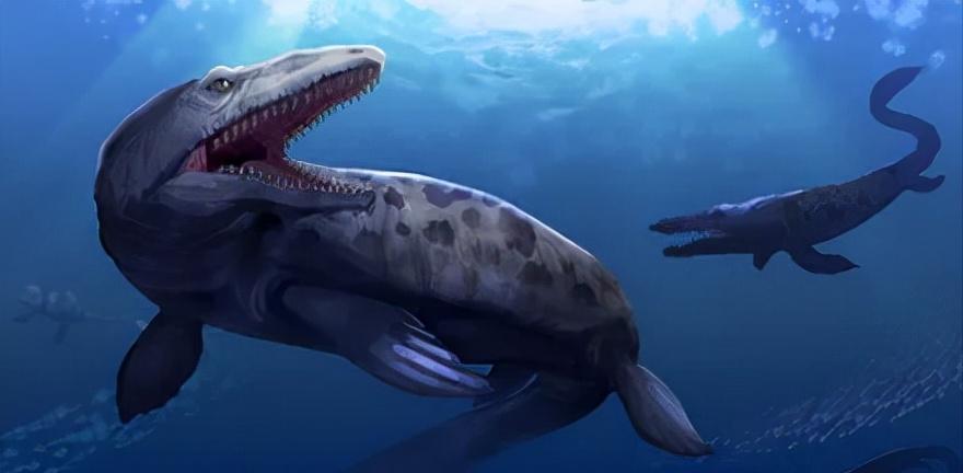 恐龙立体书科普恐龙,恐龙科普全集