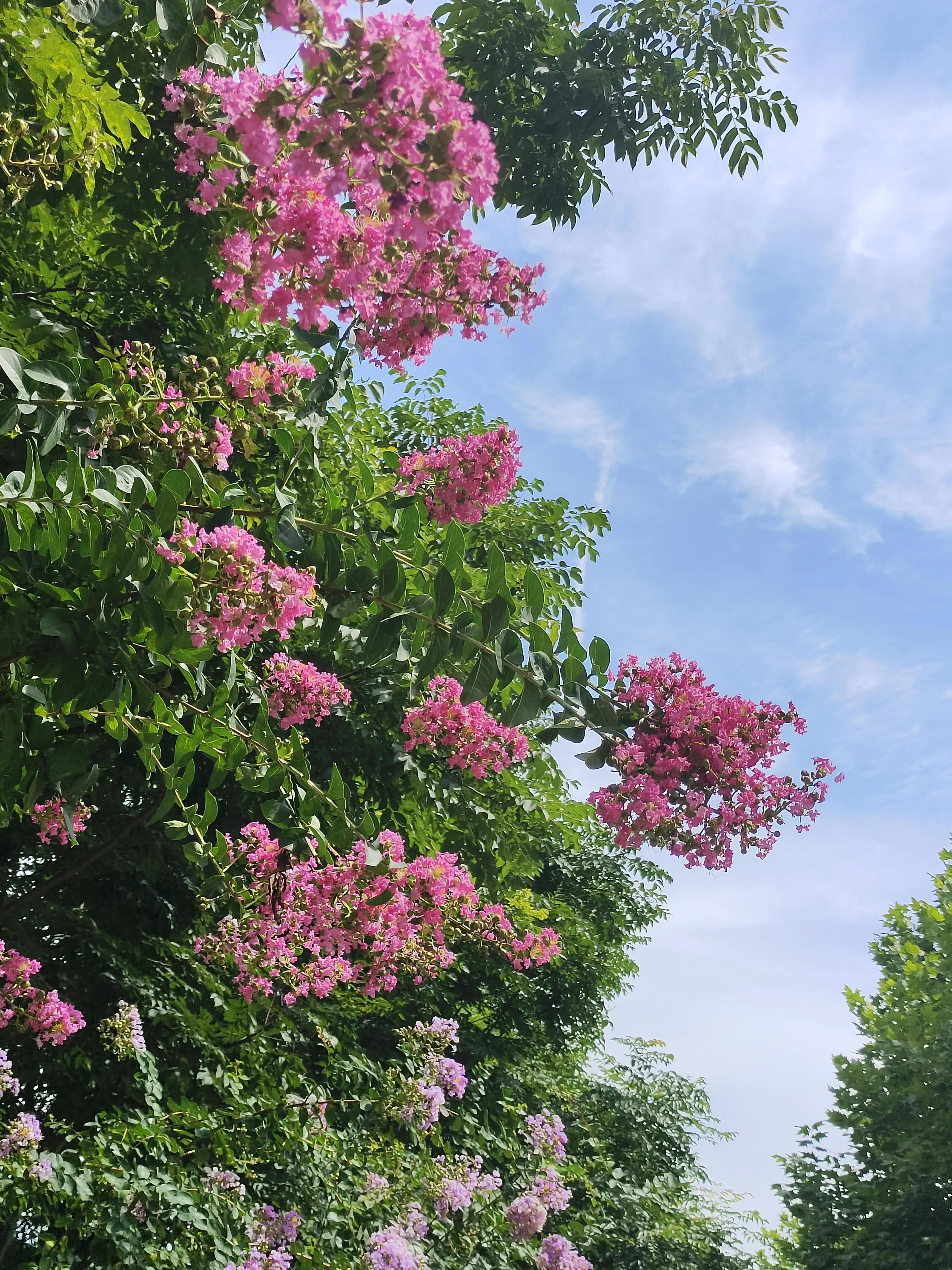 生病了才知道雨伞重要,生病了才知道伞有多重要