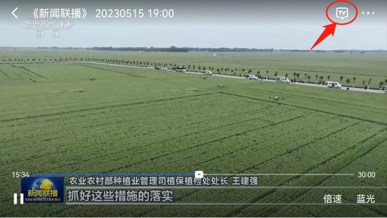 手机怎么看电视直播免费观看,手机看电视直播怎么看