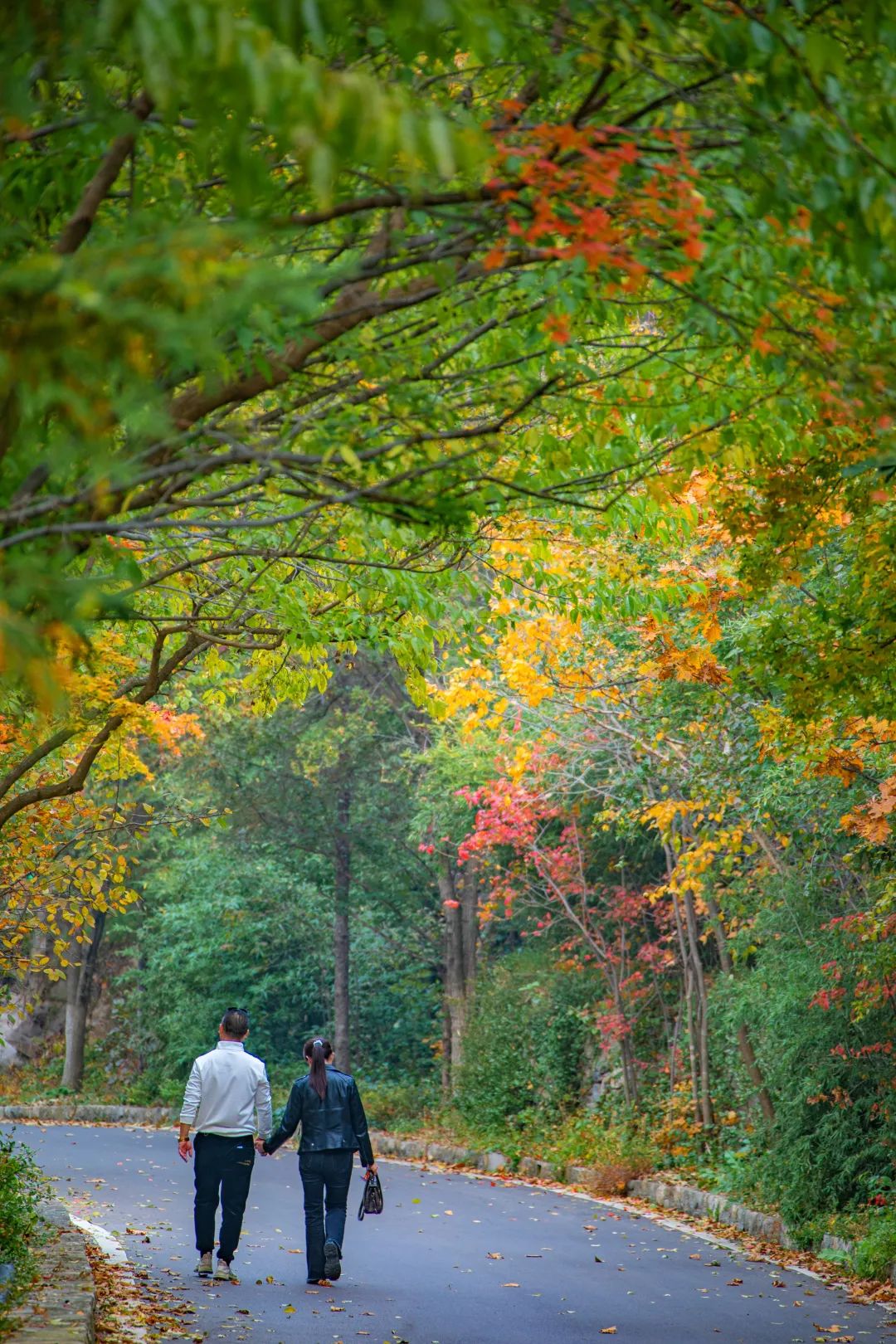 济南九如山秋色美如画,济南九如山秋天景色