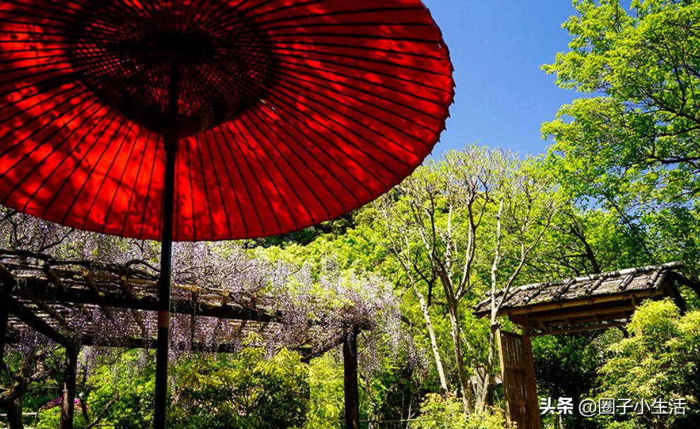 偏振镜的鉴别图,偏振镜参数