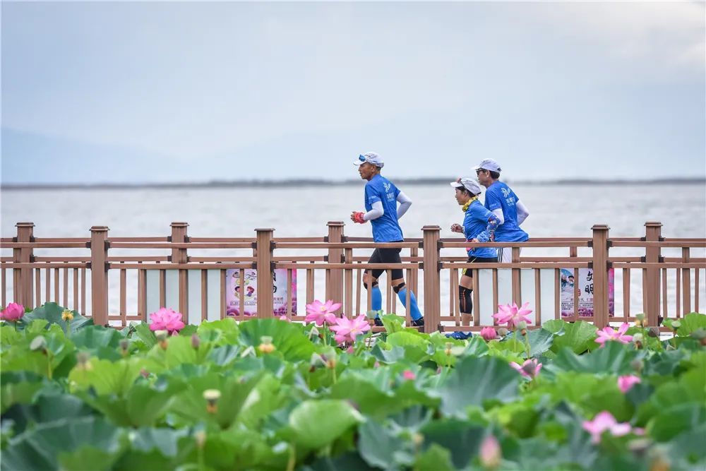 云上梯田梦想红河是谁提出的,云上梯田梦想红河云南旅游新方向