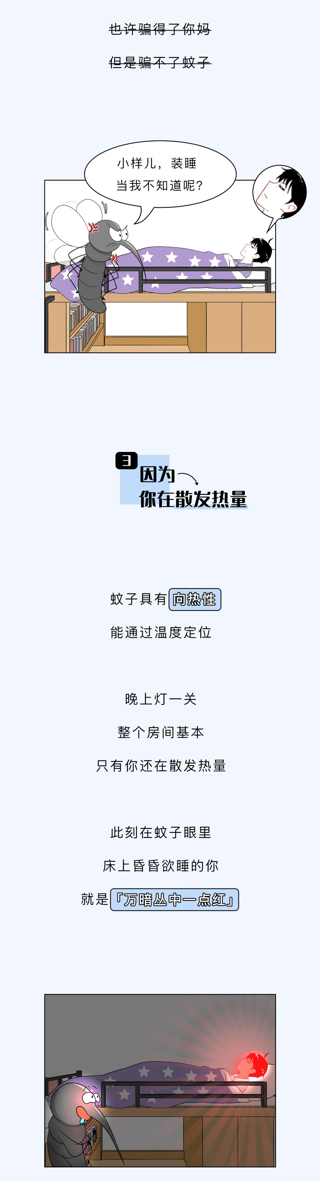 为什么一到睡着前蚊子就会嗡嗡,为什么一睡着蚊子就出来
