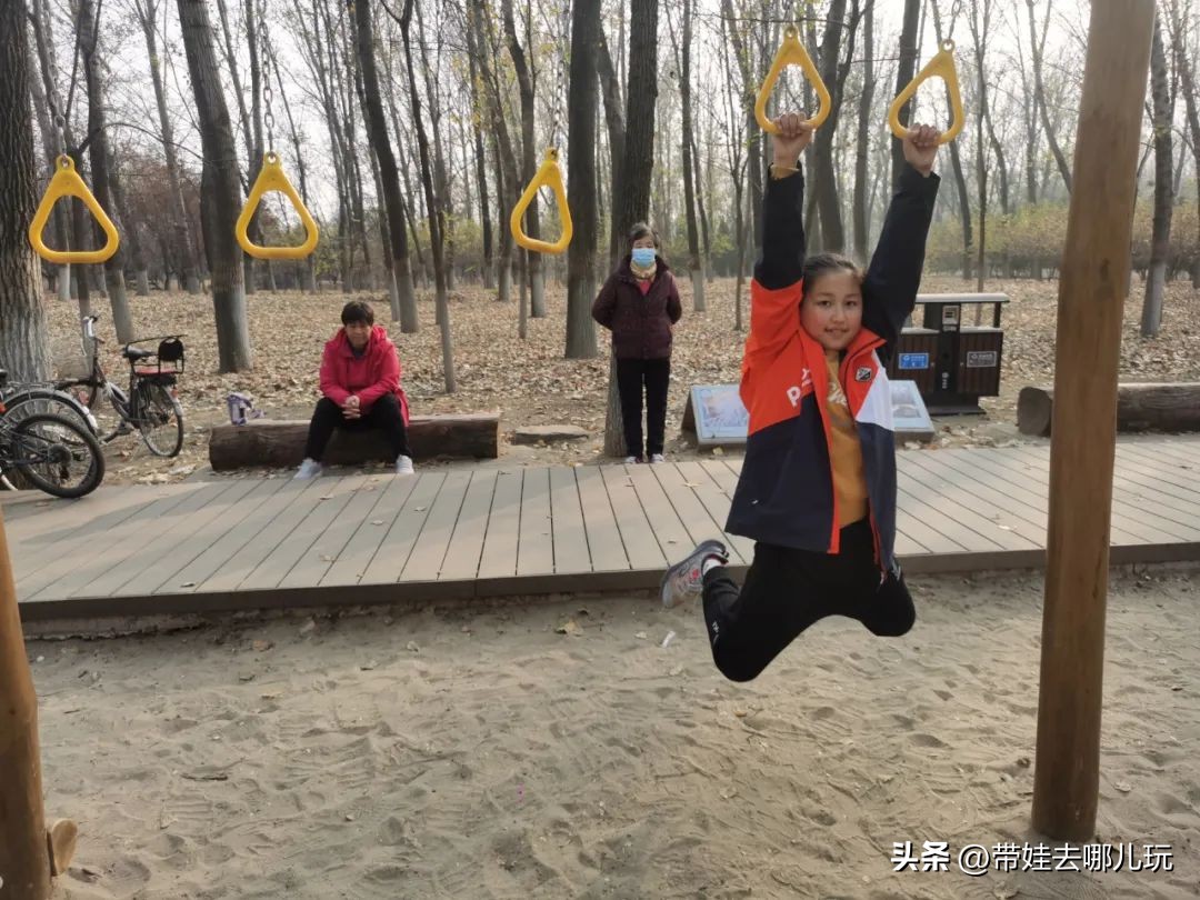在森林公园里玩耍,中国可以骑行的森林公园