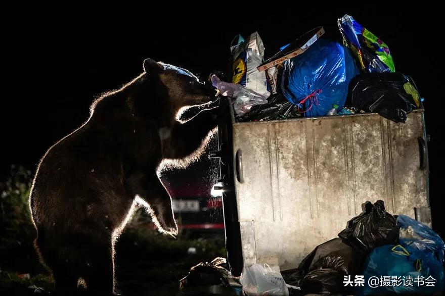 2018年度最佳摄影照片,创造出令人惊叹的自然摄影照片