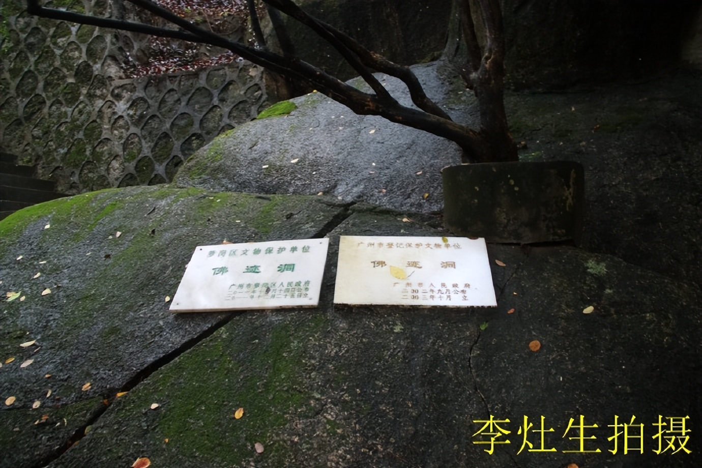 杨四将军庙简介,杨四将军庙在哪个位置