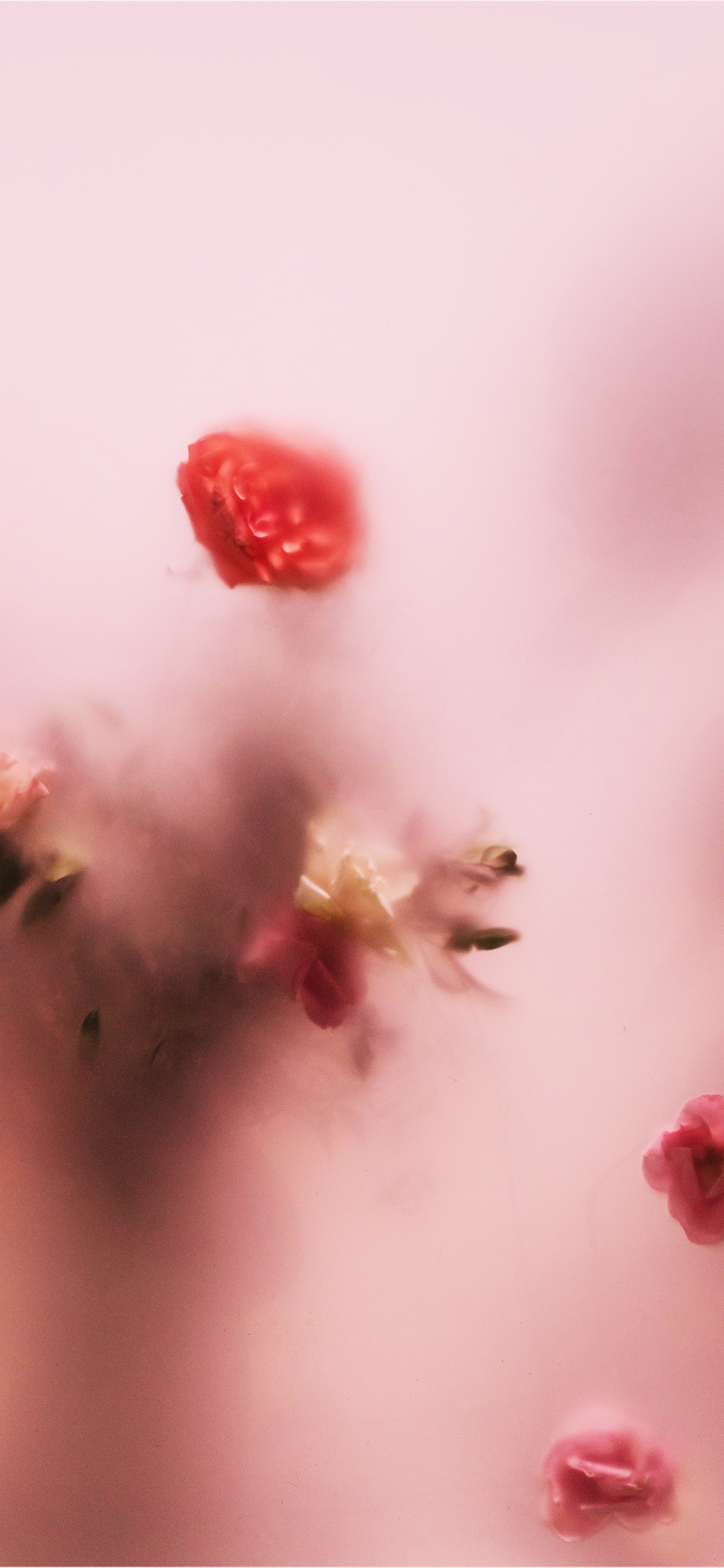 可爱的壁纸女生专用粉色系,超级可爱少女心壁纸粉色系动漫