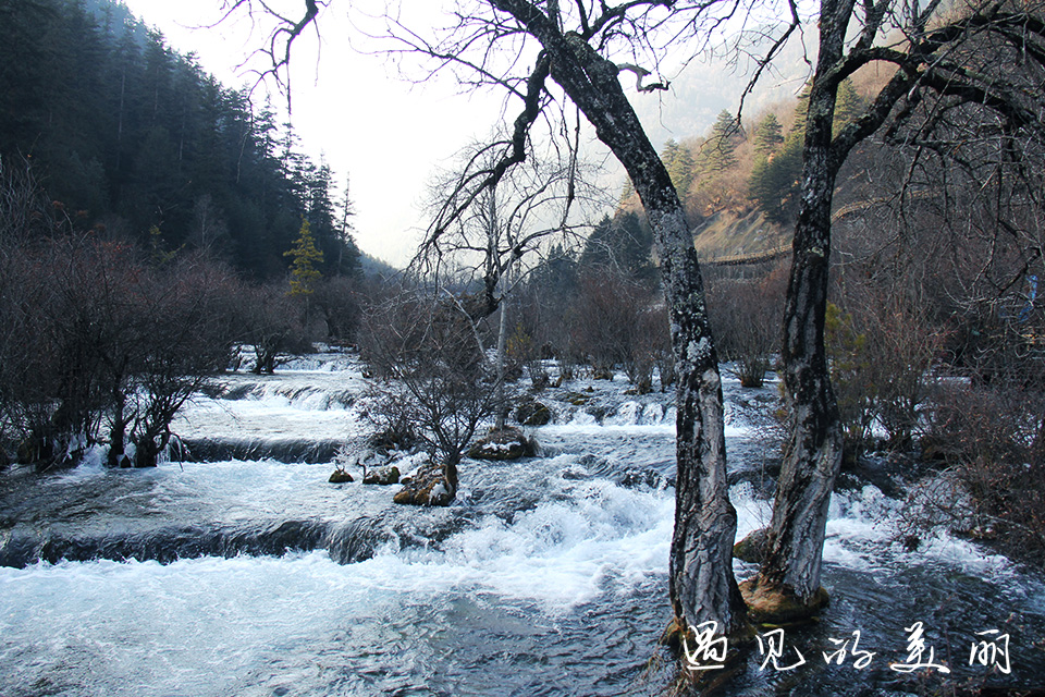 如果一生只去一个古城,一生去一次九寨沟