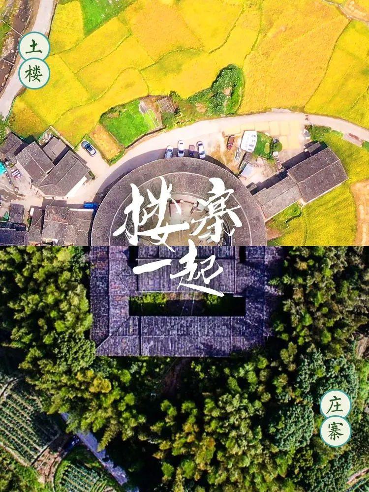 福建人有多能组cp,广东人嗑cp