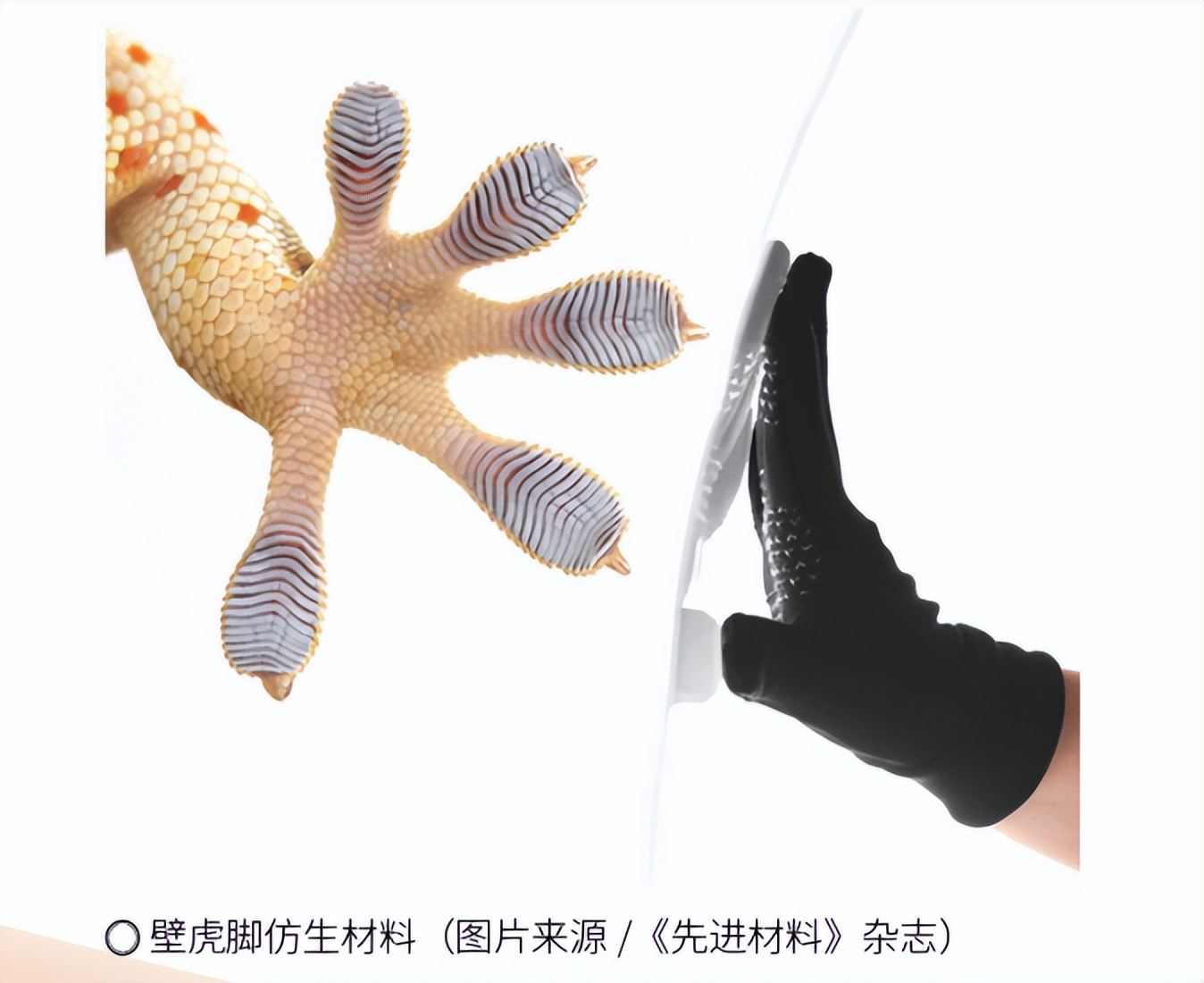 纳米银抗菌液有什么好处,纳米银离子杀菌靠谱吗