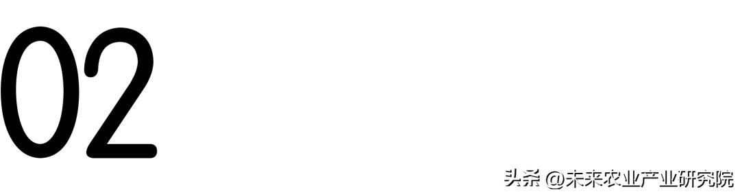 从淳化荞面饸饹,看特色小吃如何大有可为?