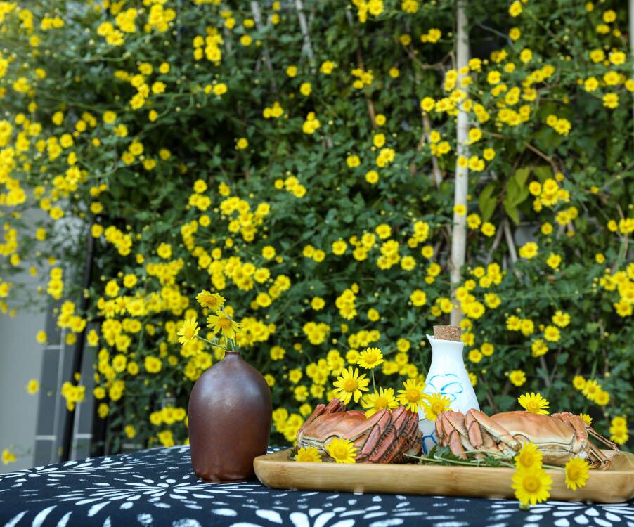 菊香蟹肥国画,菊香蟹