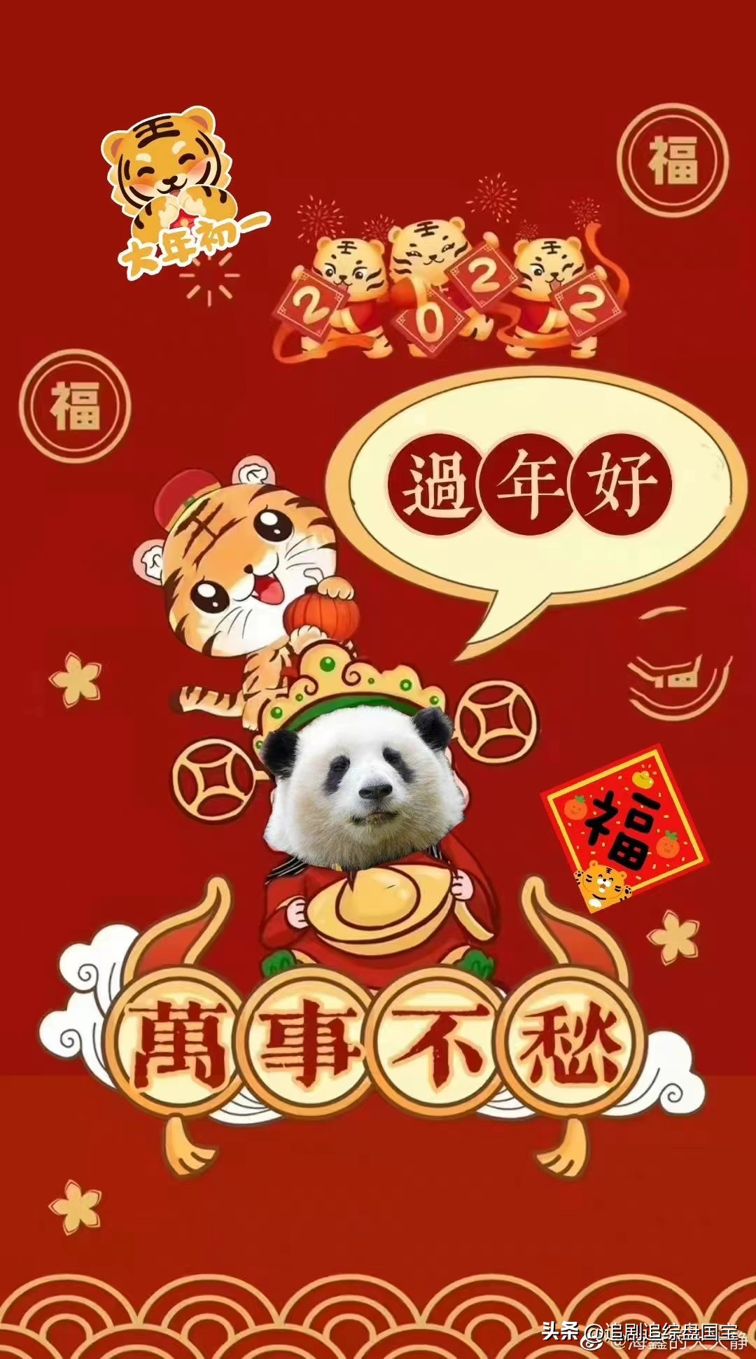 盘点2023年回归的大熊猫,国宝大熊猫资料整理全部