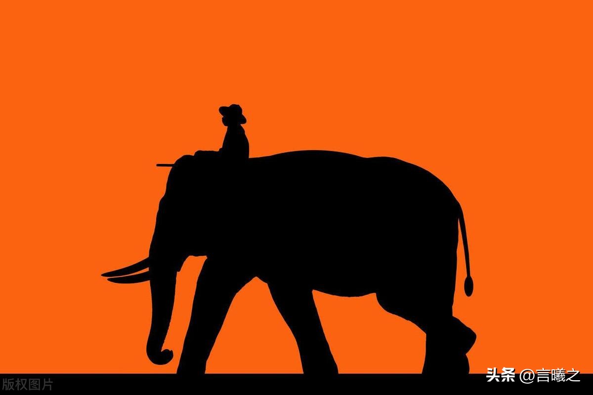 大象和豫字的关系,河南为什么叫豫和大象有什么关系