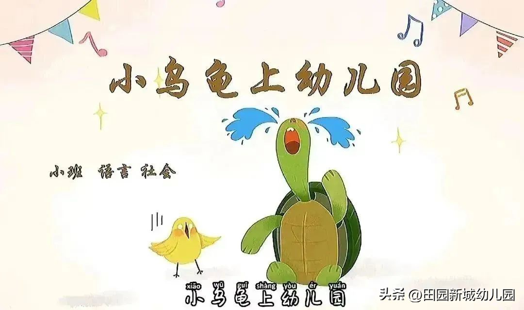 课程故事乌龟大班,嗨小鸭课程故事