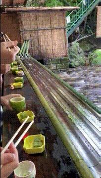 每日gif搞笑趣图,每日gif