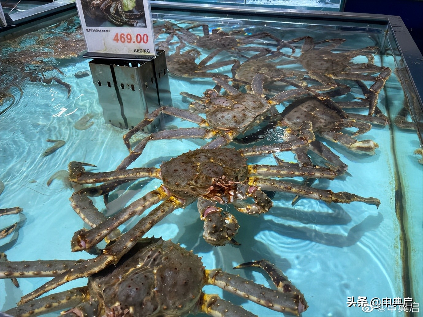 参访中东地区最大华人零售集团“温超”总部，供应20万华人口粮