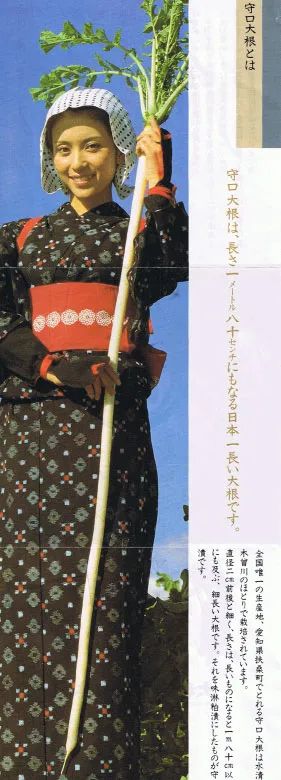 萝卜的这个小知识你知道了吗 (关于萝卜的百科知识有哪些)