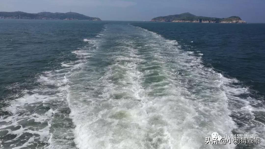 「我说我的」网易号也喊“清朗”？平台抄袭账户黑名单（更新）