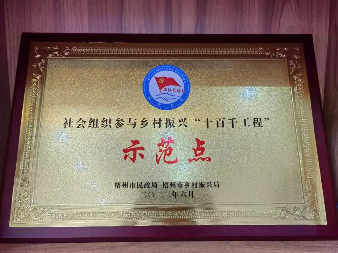 苍梧县青年创业协会,藤县青创协会