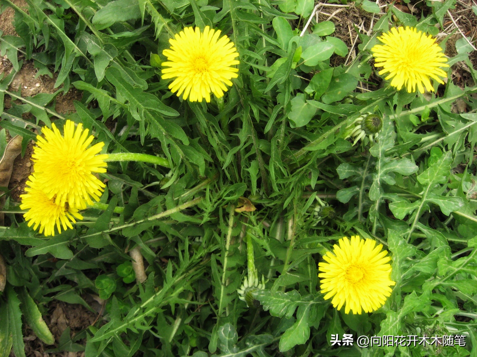 浦东美食排行榜茶餐厅,浦东高级美食排行榜
