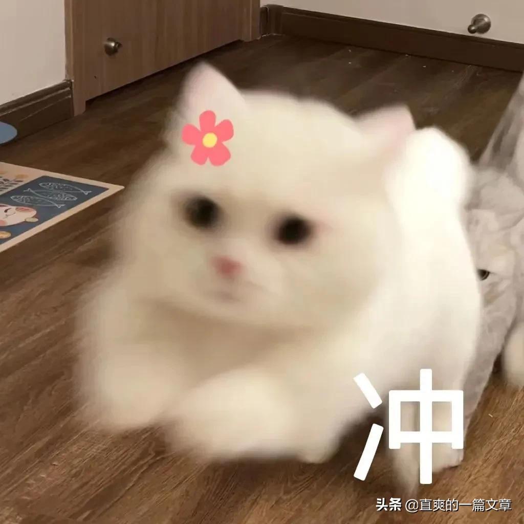 男生逆袭变帅的方法图文,男生变帅小技巧颜值逆袭男生必备