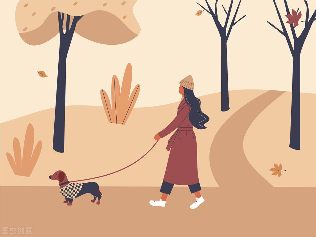 如何备考考研英语241,考研英语逐篇讲解