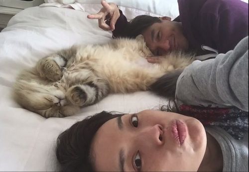 长相让人一眼惊艳的大美女,盘点超有魅力的几位美女