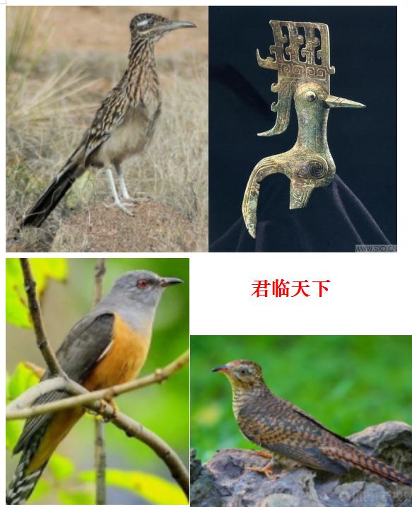 三星堆遗址出土大量精美青铜器,古蜀文化遗址三星堆青铜器