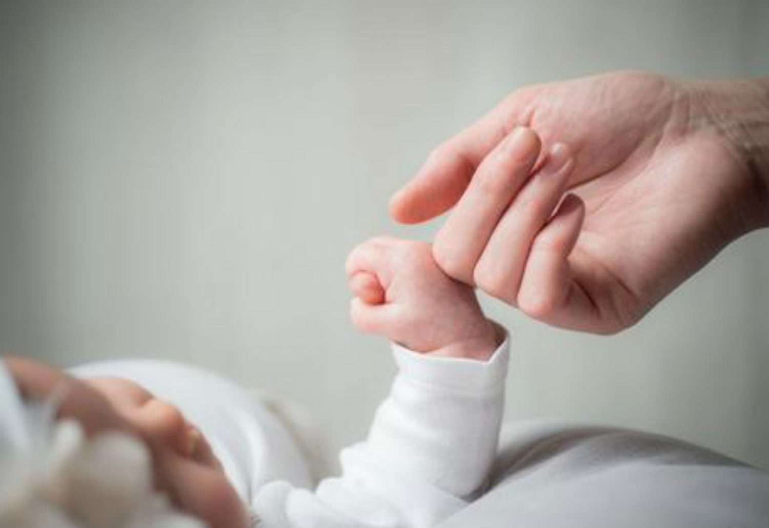 连云港月嫂就业前景,月嫂和育儿师哪个就业前景好