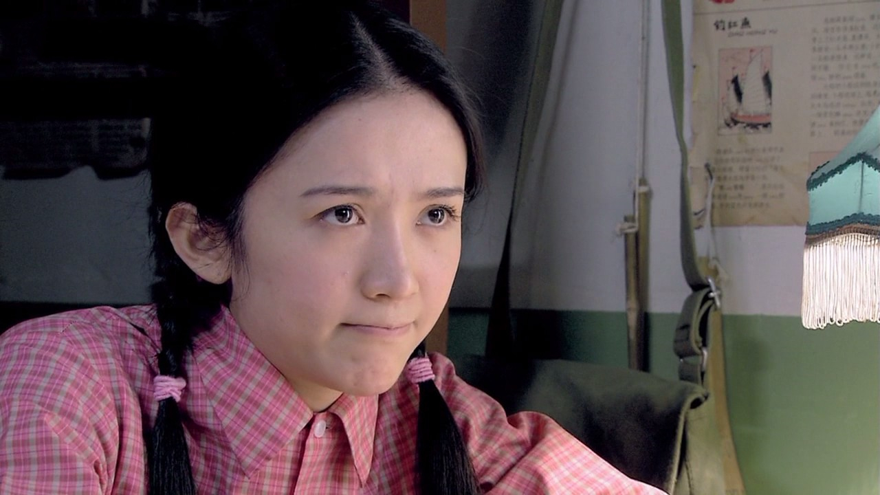 比父母爱情还好看的十部电视剧,9.8分经典老剧父母爱情