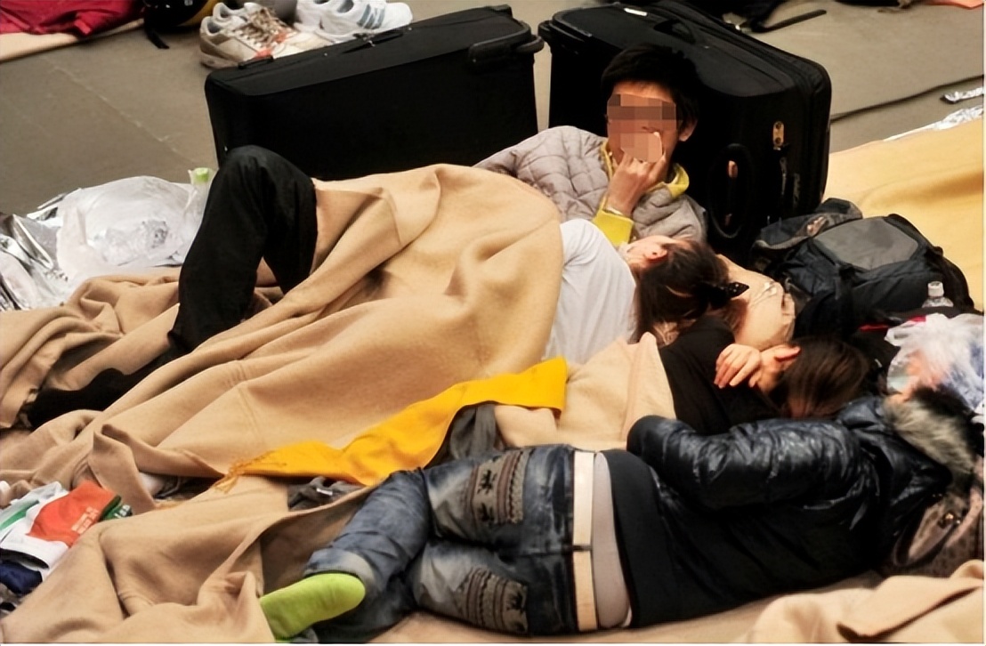 日本的地震前反常现象,揭秘日本地震来临有哪些应对措施