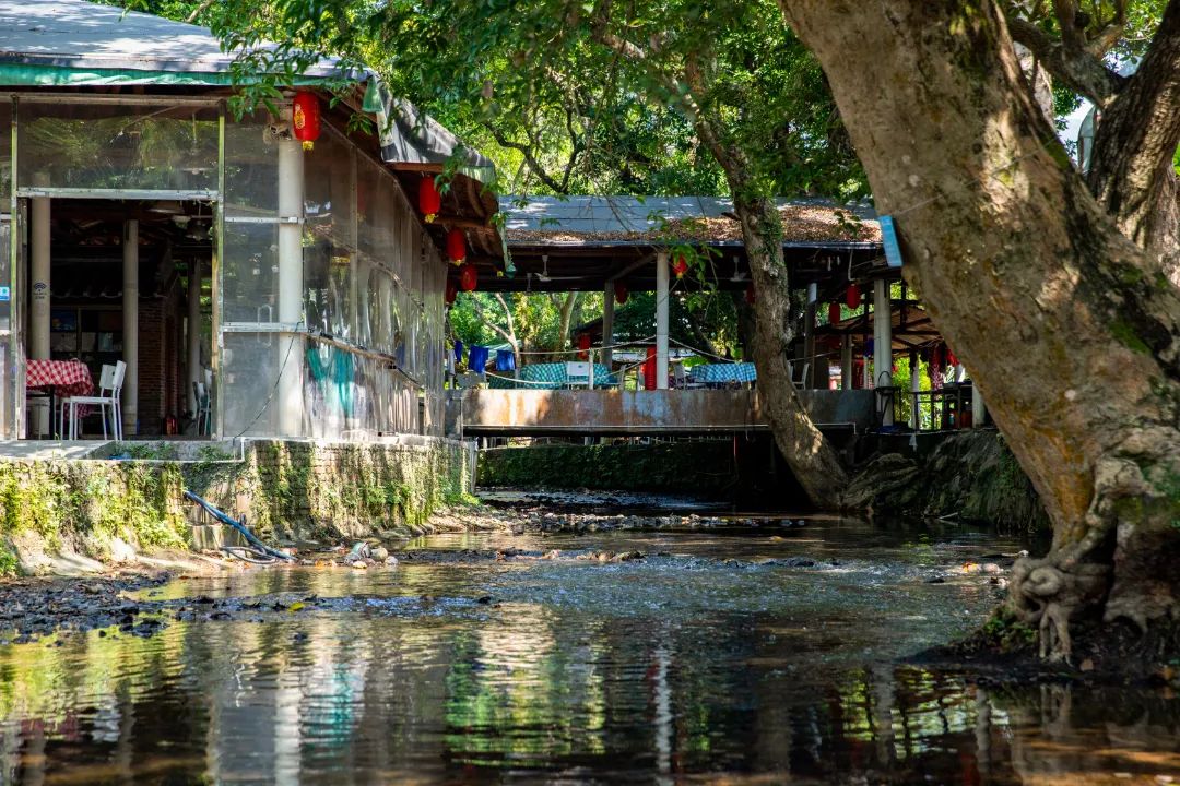 14号地铁有没有到坪山高铁站,坪山14号线转10号地铁图